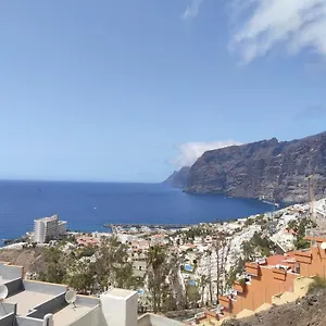 https://flor-de-pascua-santiago-del-teide.in-canary-islands.com